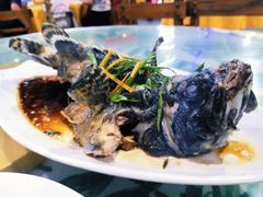 清蒸龙胆石斑鱼-四姑娘川味海鲜(八爪鱼店)