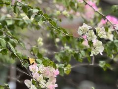 -海龙珠海鲜餐厅