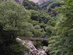 -青峰峡国家森林公园