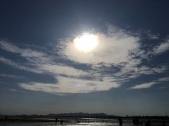 -刘家湾赶海园