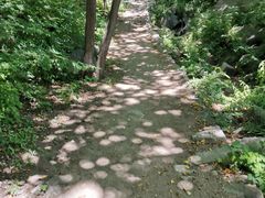 -大岭沟猕猴桃谷风景区