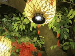 -南京大牌档(龙湖长楹天街店)