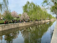 -元大都城垣遗址公园