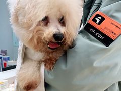 -瑞派宠物医院·中兽医专科(中央商城分院)