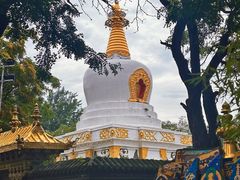 -护国法轮寺