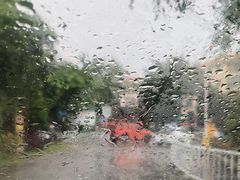 -西双版纳傣族园