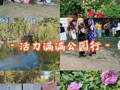 -西苑公园