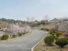 -清风小镇闯关东影视基地