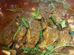 -老板恋上鱼(恒隆广场店)