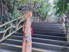 -海南槟榔谷黎苗文化旅游区