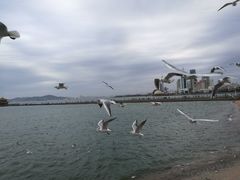 -老味道民宿(栈桥店)