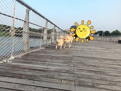 -苏州太湖国际会议中心