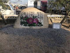 -小豆岛町
