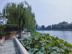 -后海公园