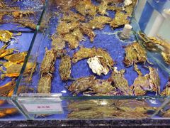 -榕港名轩(天禧店)