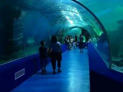 -多彩贵州城极地海洋世界