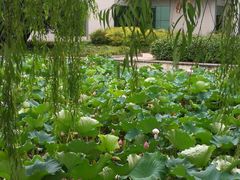 -绍兴鉴湖君澜大酒店