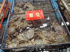 -三旗百汇商品城