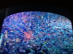 -成都浩海立方海洋公园