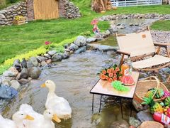 -HERRE·FARM 赫尔露营农场·团建聚会包场