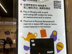 -谢列梅捷沃国际机场