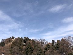 -少华山国家森林公园