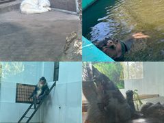 -西安秦岭野生动物园