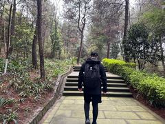 -铁山坪森林公园