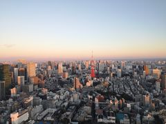 -六本木新城展望台(东京城市景观)