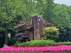 -苏州河梦清园环保主题公园