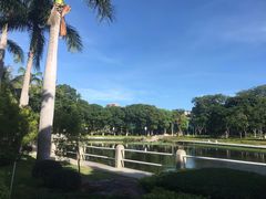 -金砂公园