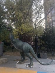 -大望京儿童游乐场