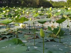 -华南师范大学(广州大学城校区)