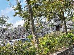 -千岛湖石林
