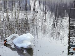 -北龙湖湿地公园