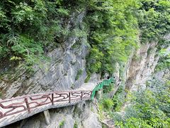 -鹿院坪生态旅游景区
