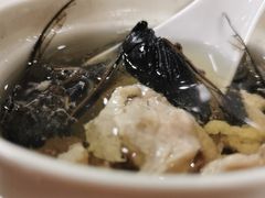 瘦肉炖蝉退-荔林食店(西华路店)