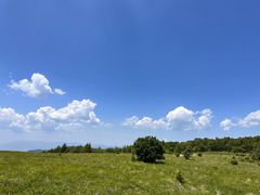 -白草畔自然风景区