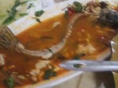 -煲来饱去冷水鱼