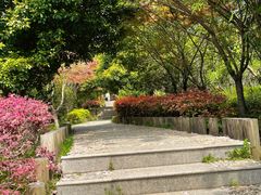 -九龙潭景区