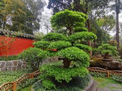 -成都武侯祠博物馆