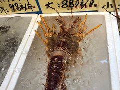 -蚝得喜海鲜(东城店)