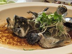 -顺峰(农展馆店)