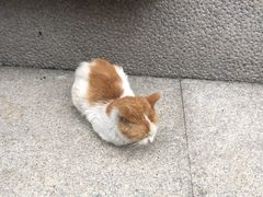 -广州西关永庆坊旅游区