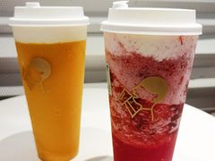 多肉杨梅-喜茶(深圳福田星河COCO Park店)
