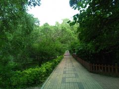 -哈尔滨文化公园