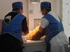 -狗舍宠物医院(四季商业广场店)