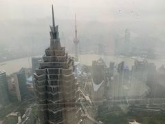 -上海柏悦酒店·世纪100牛排馆