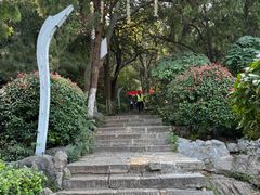 -云龙山