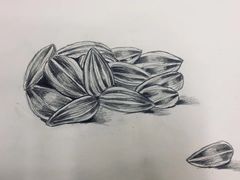 -东方童画少儿美术(莘庄体验馆)